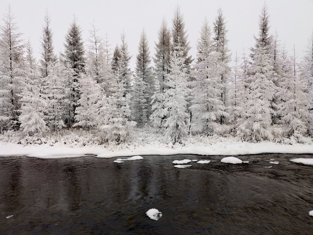 Photograph by Светлана