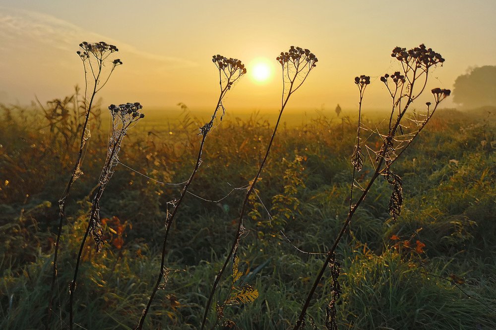 Photograph by Maciej