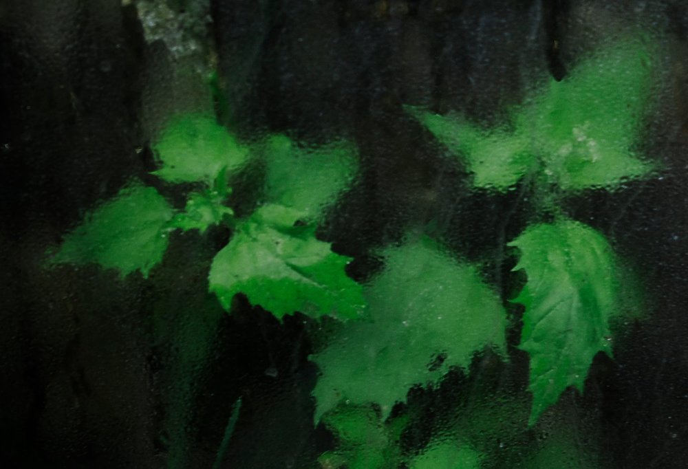 Photograph by Александр Пугачев