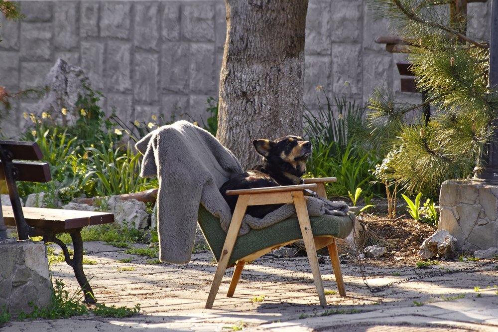 Photograph by Александр Пугачев