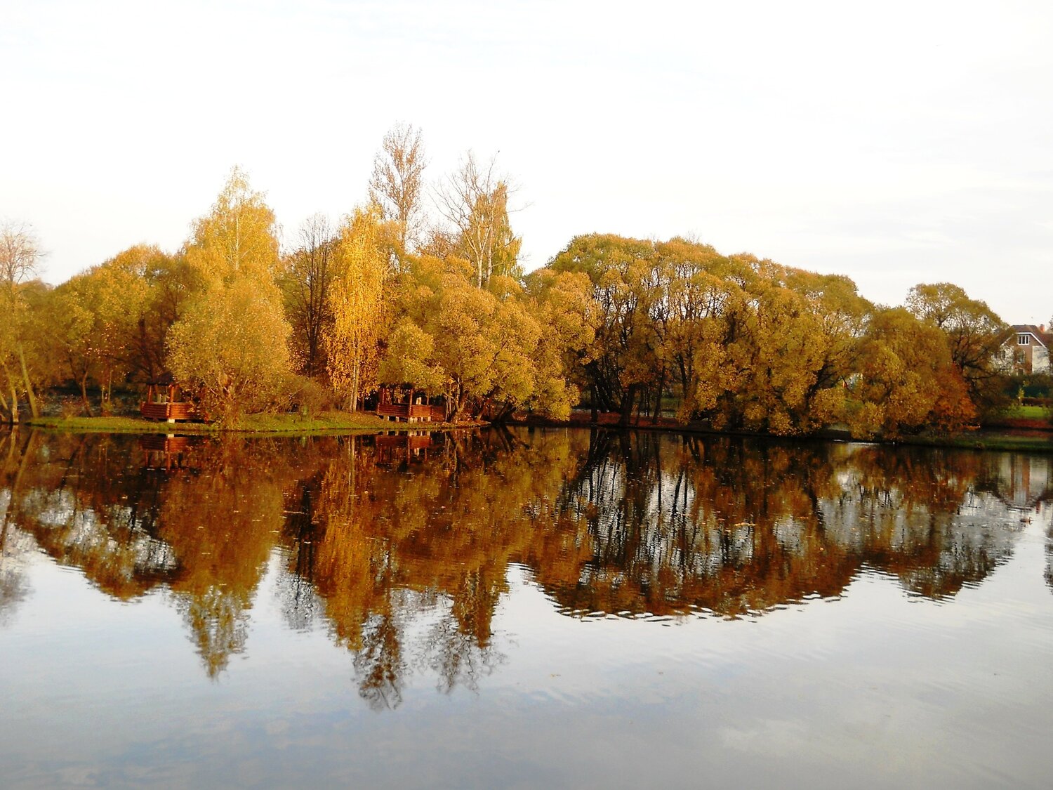 Photo #5296308