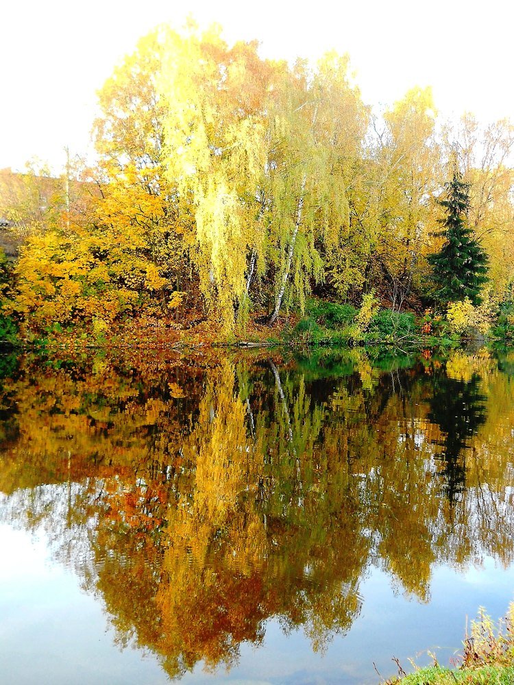 Photo #5296316