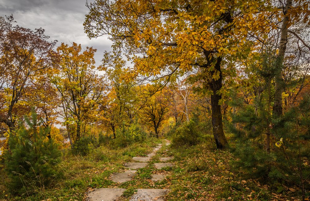 Photograph by Александр Антонов