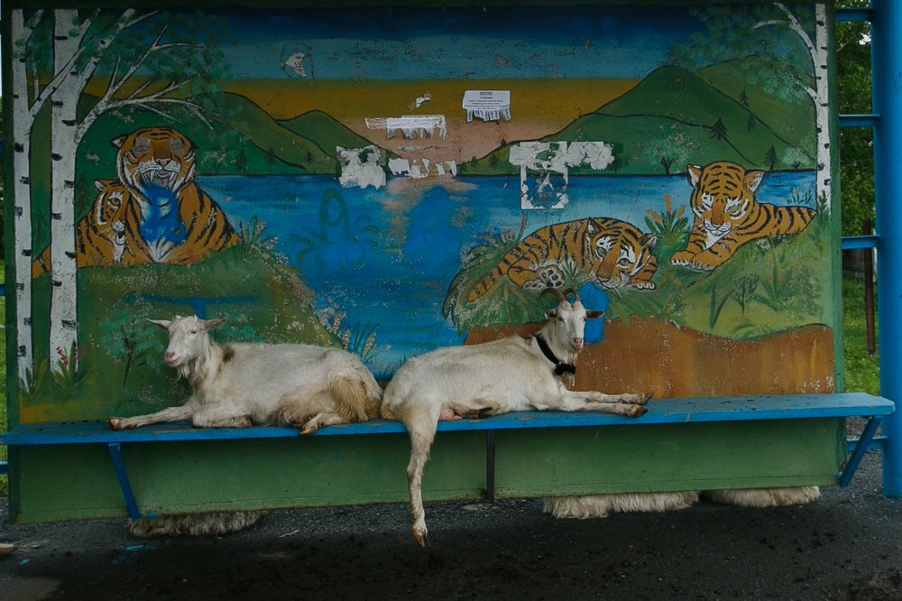 Photograph by Александр Хитров