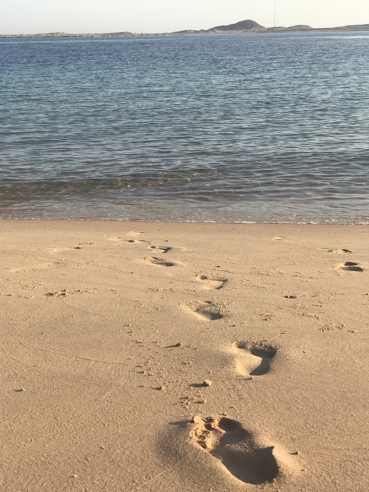 Следы на песке