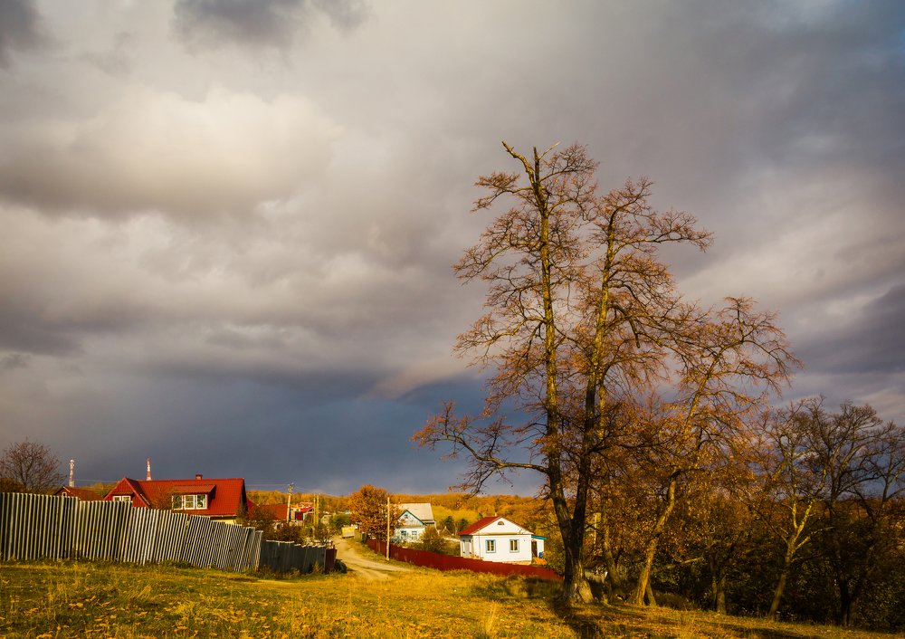 Photograph by Александр Антонов