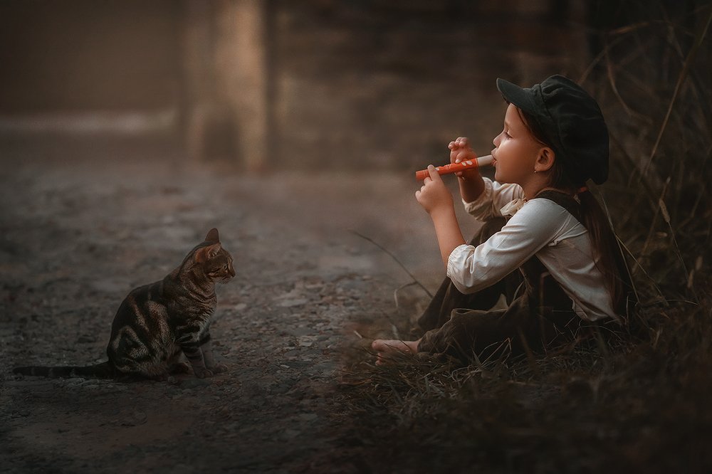 Музыка для одного зрителя