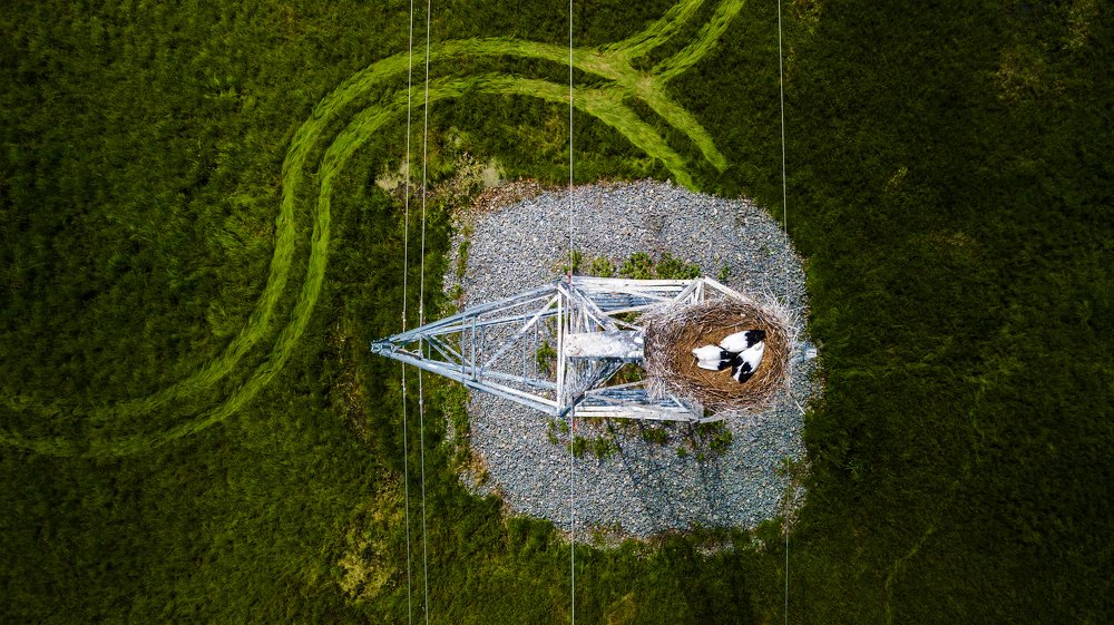 Photograph by Александр Хитров