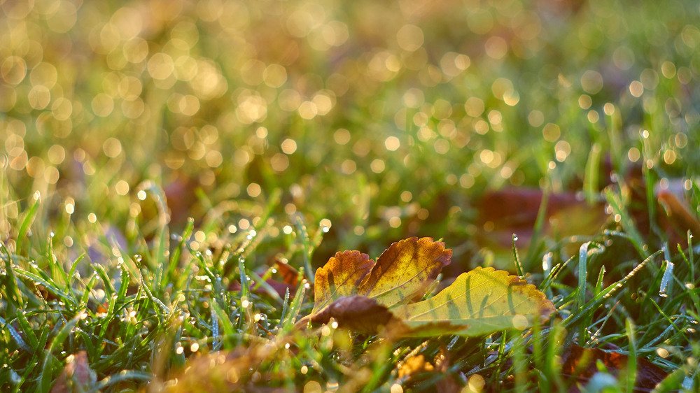 Photograph by Александр Пугачев