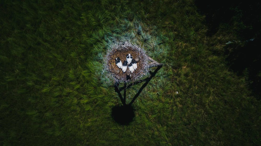 Photograph by Александр Хитров