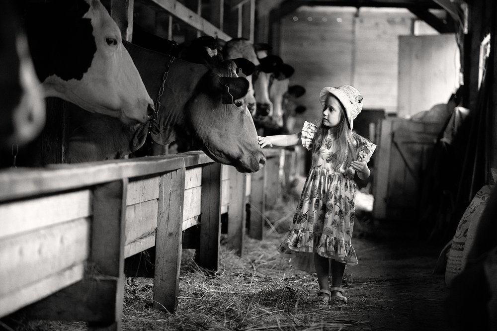 Photograph by Семенов Михаил