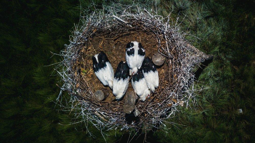 Photograph by Александр Хитров