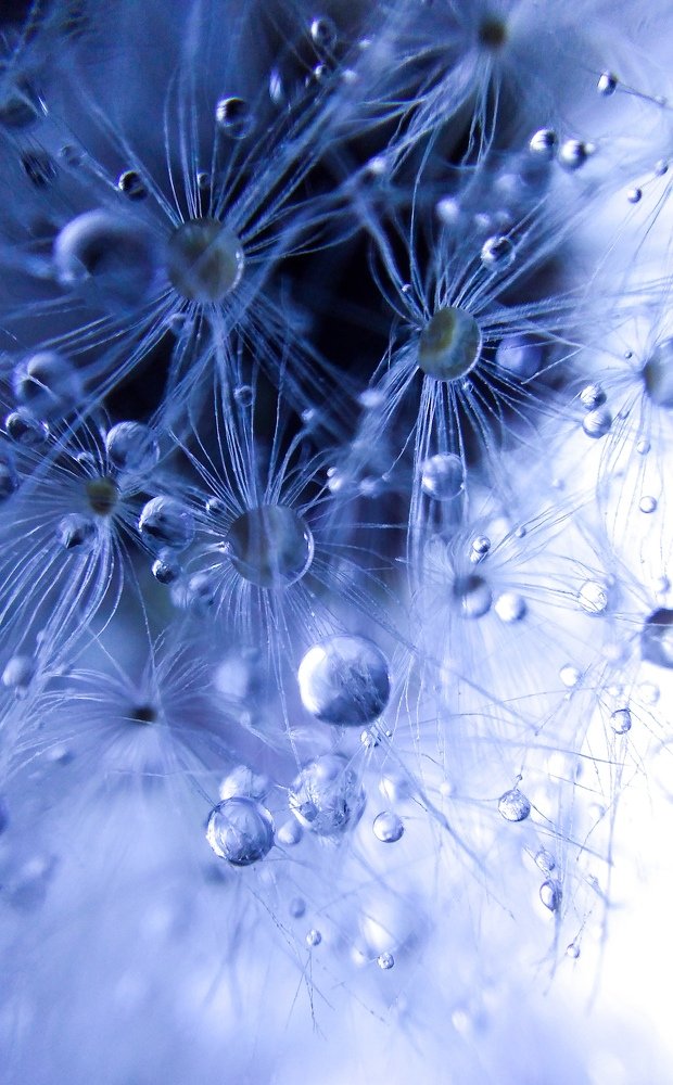 Мир прекрасных капель