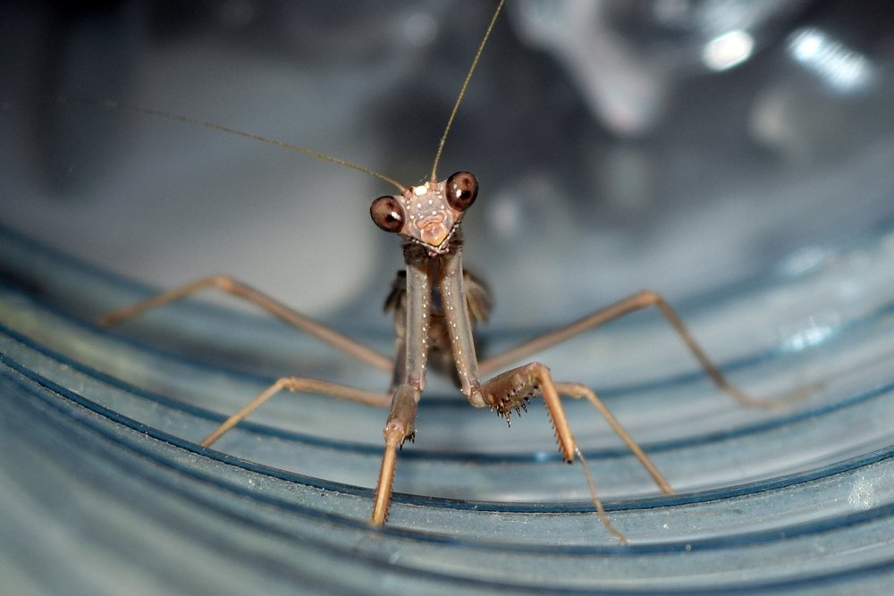 Photograph by Маис Киракозов