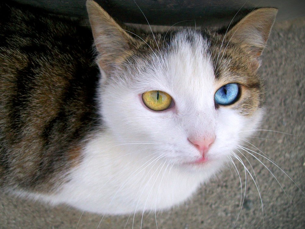 Photograph by Вероника Мищенко