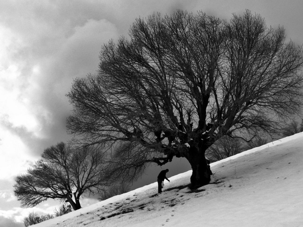 Photograph by bahoz Welat