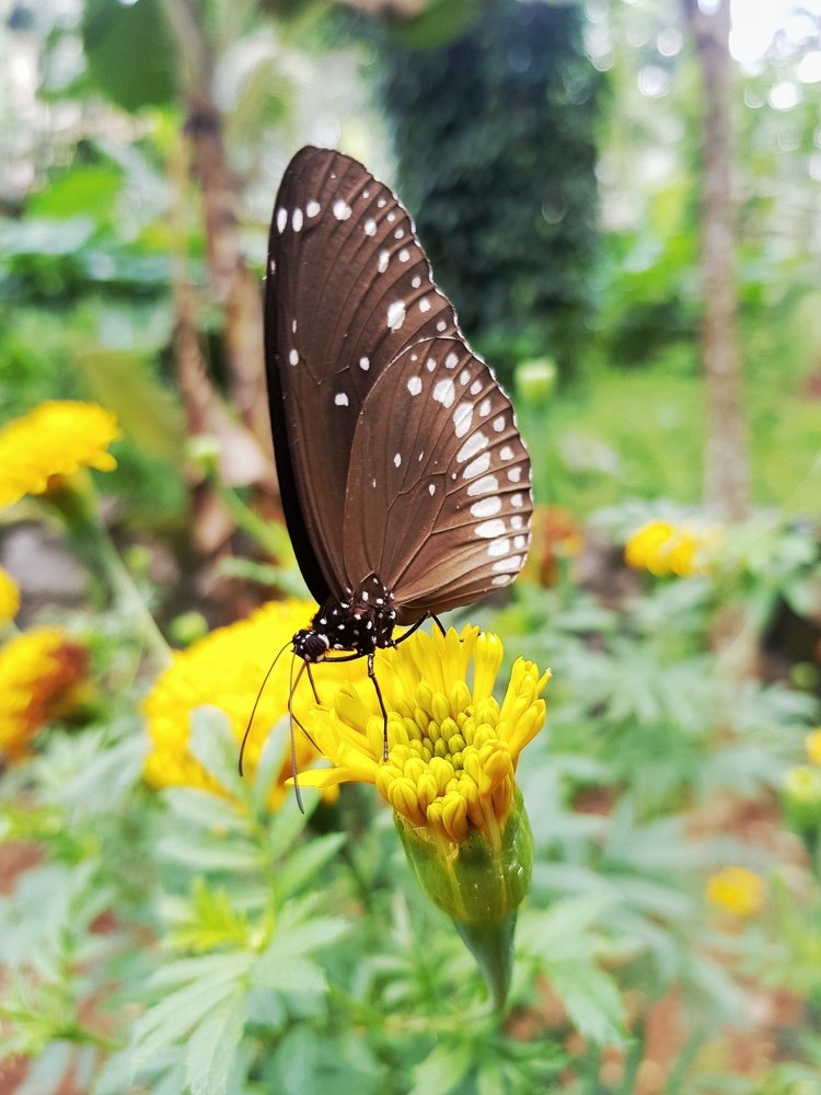 Photograph by Priya Lekshmi