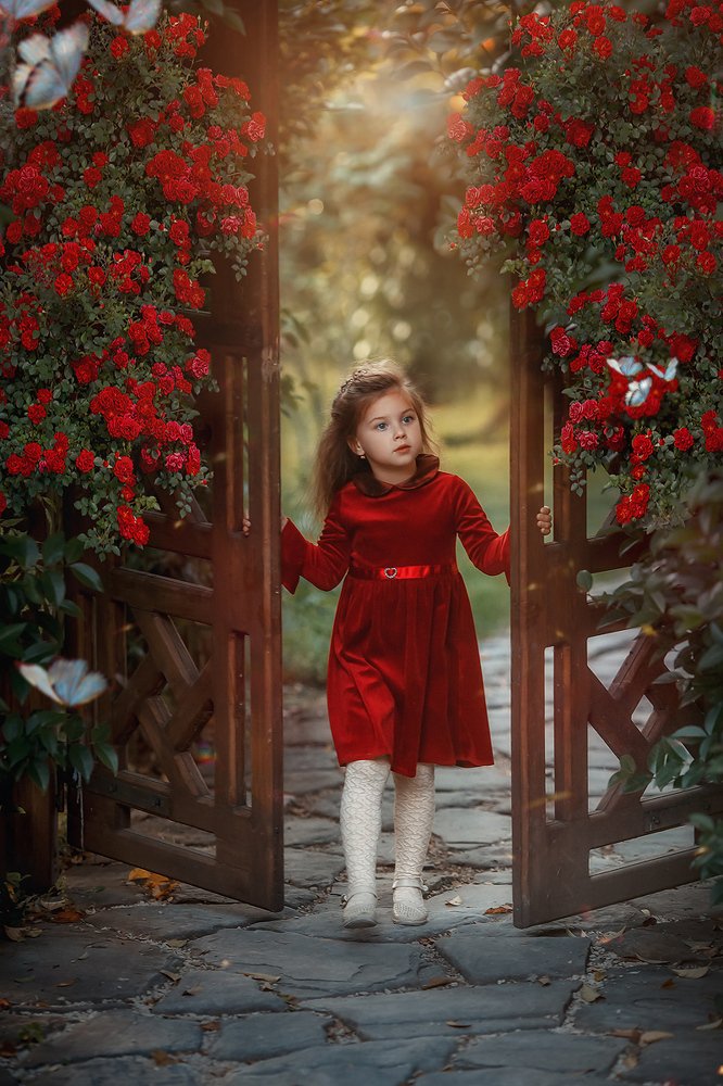 Двери в волшебный мир