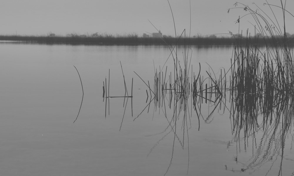 Photograph by DIMPAL PANCHOLI