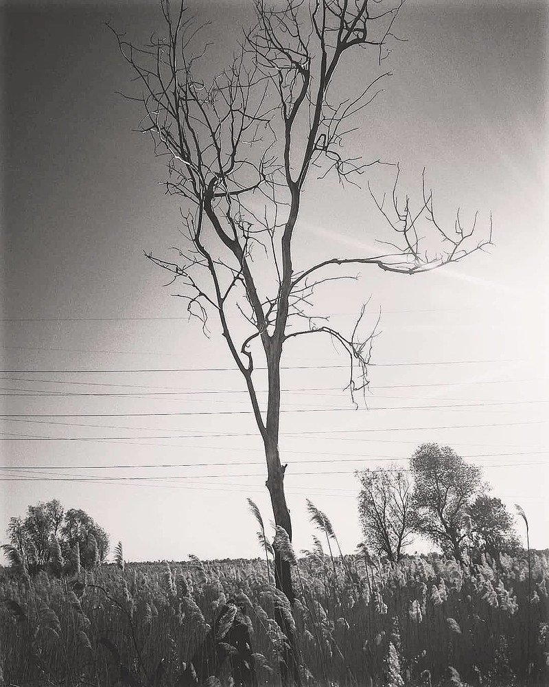 Photograph by Николай Авраменко