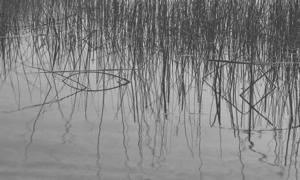 Photograph by DIMPAL PANCHOLI