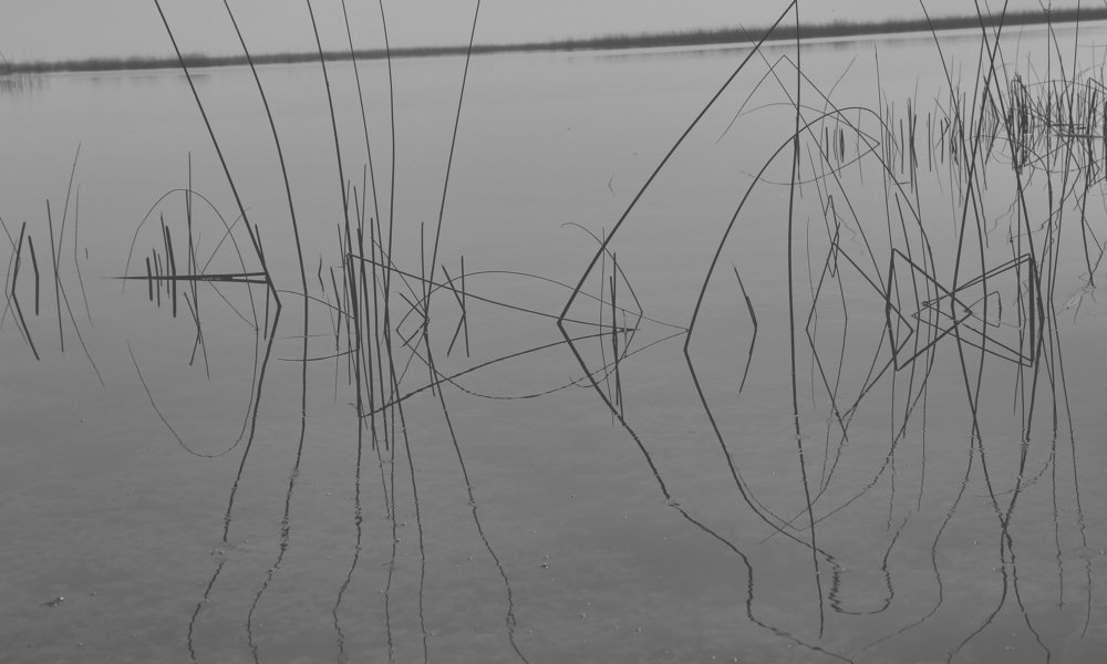 Photograph by DIMPAL PANCHOLI