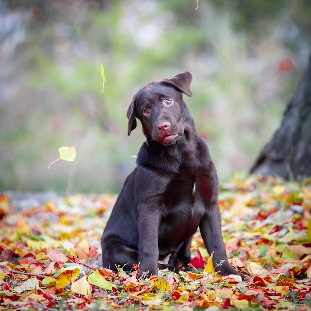 Фотография автора Lustre