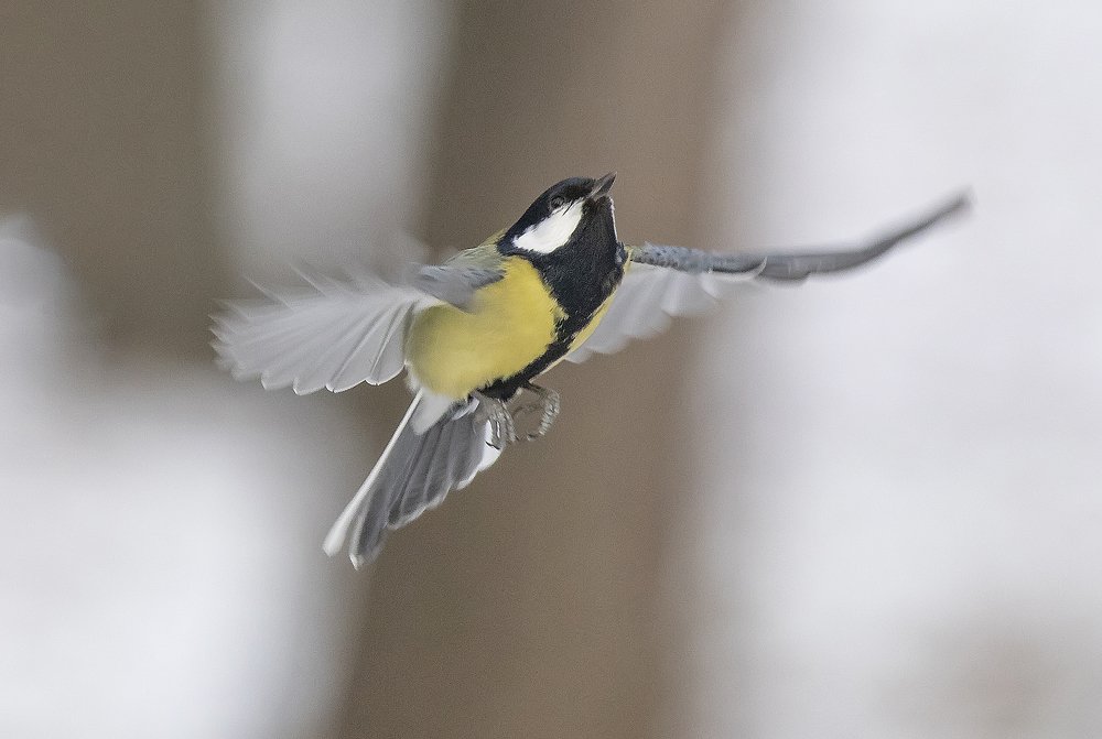 Набор высоты