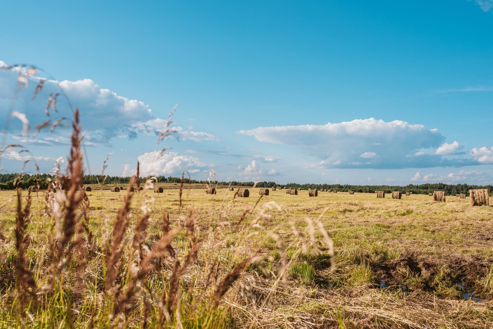 Haystacks
