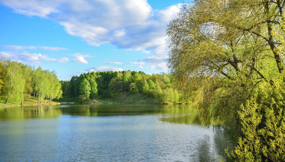 Photograph by Александр Гильмутдинов