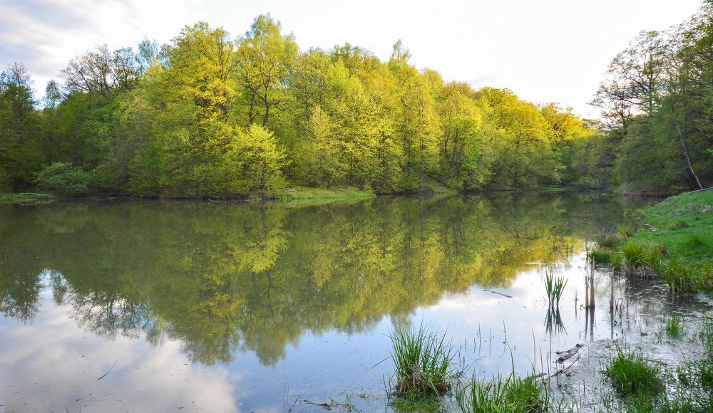 Photograph by Александр Гильмутдинов