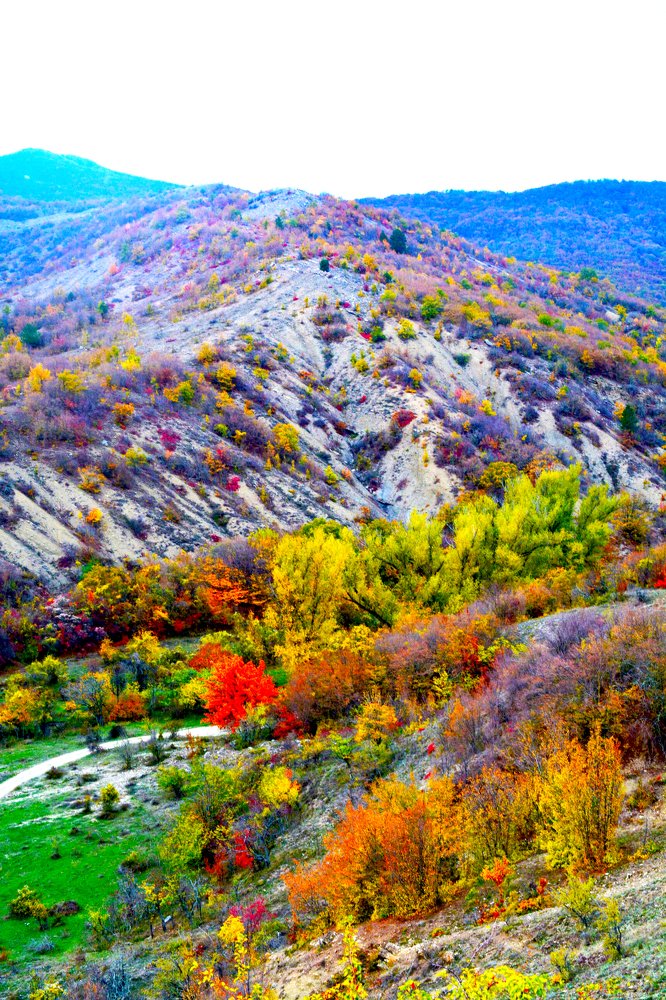 Photograph by Муза Латинская