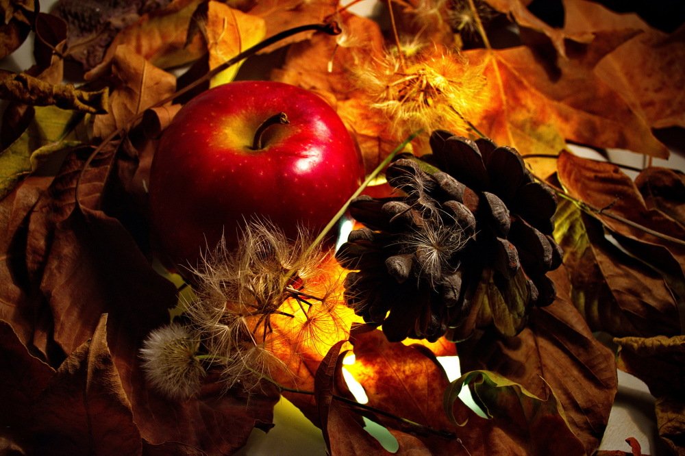 Фотография автора Маис Киракозов