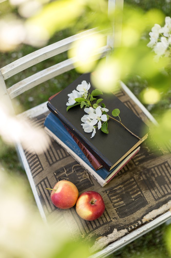 Photograph by Елена Пушница