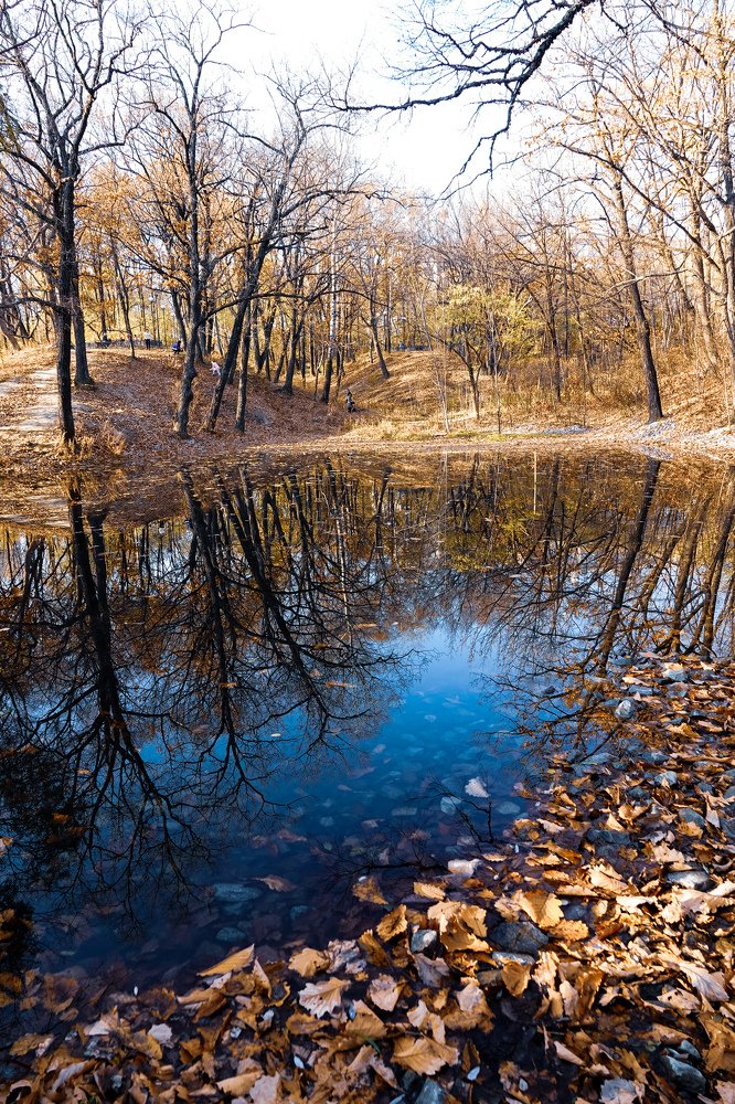 Photograph by Марина Суслова