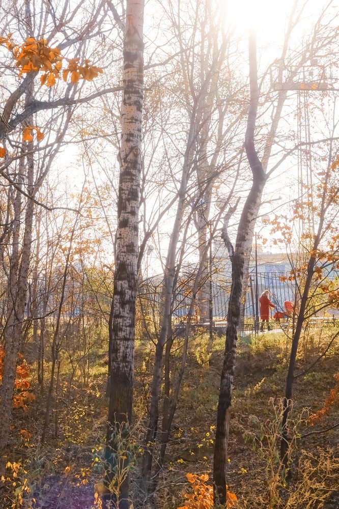 Photograph by Марина Суслова