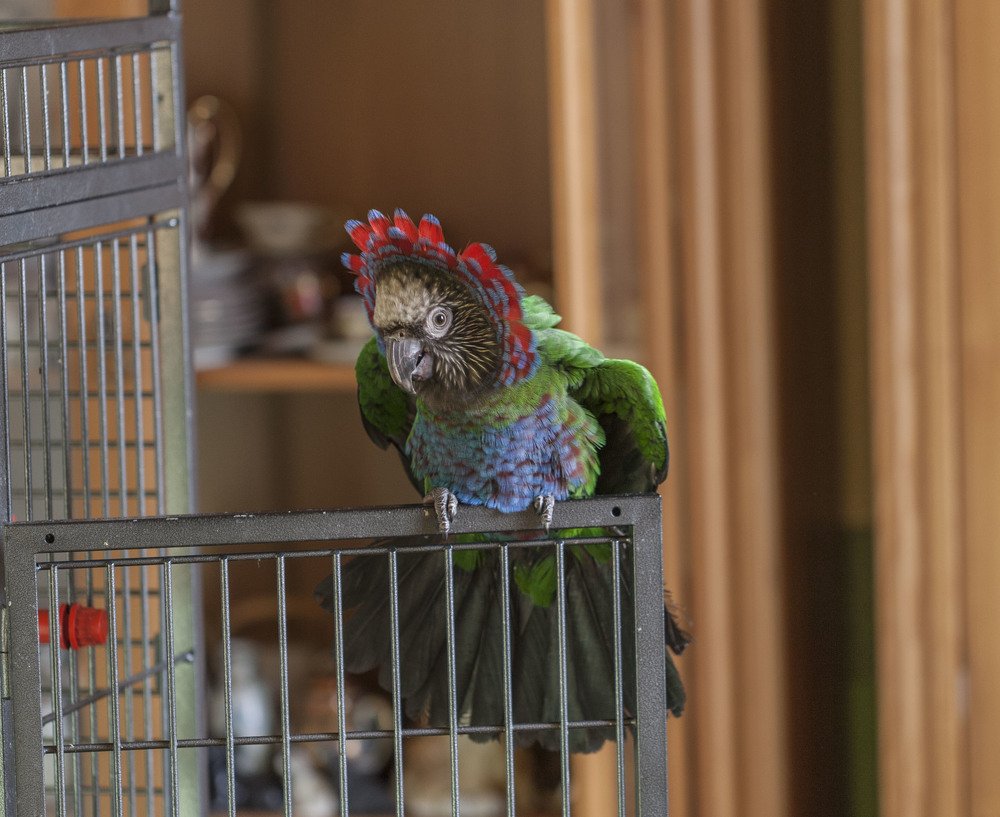 Фотография автора Oskars Smelins