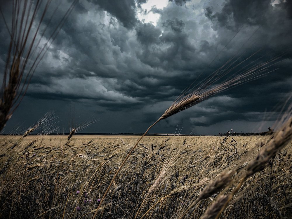 Photograph by Валерий Церковный