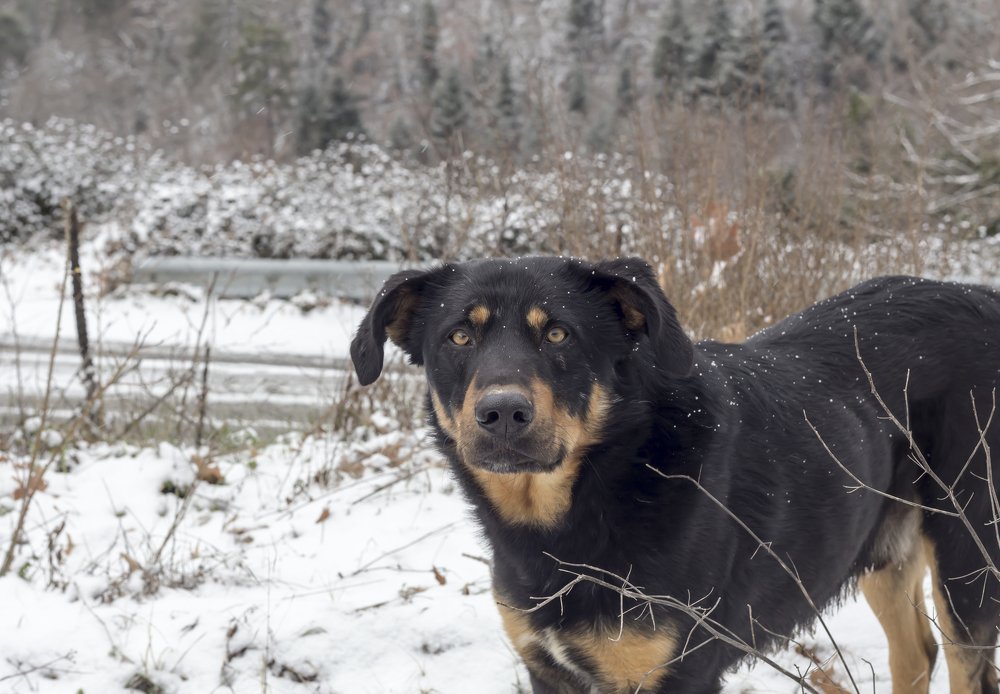 Photograph by TETYANA LYAPI