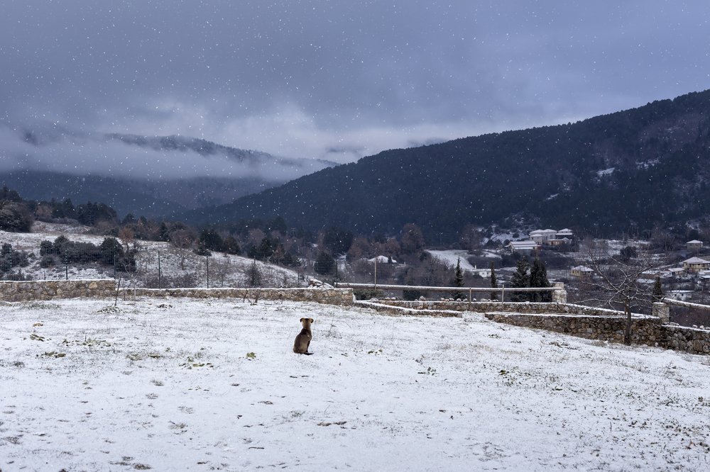 Photograph by TETYANA LYAPI