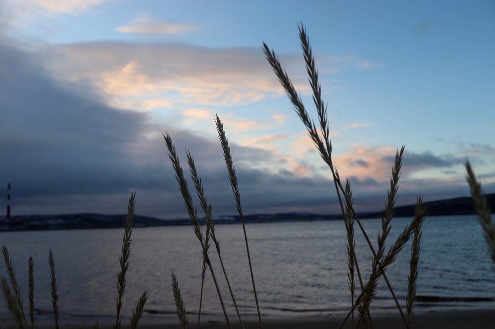 Photograph by Светлана Лебедева