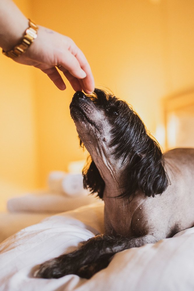 Photograph by Анастасия Охотникова