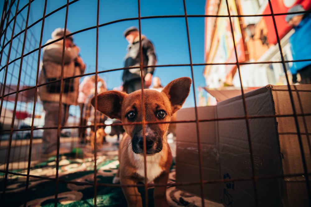 Photograph by Наталья Раевская