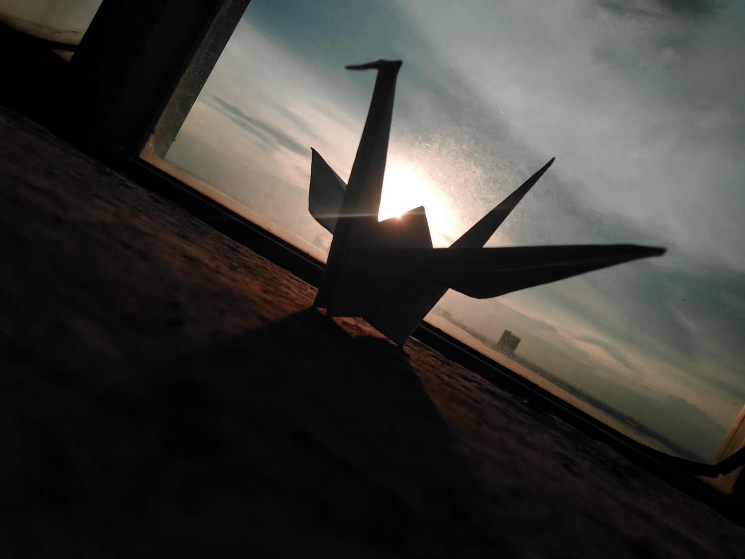 Photo #5297169