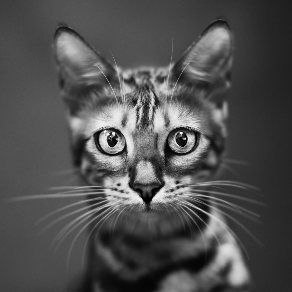 Photograph by Tatiana Malysheva