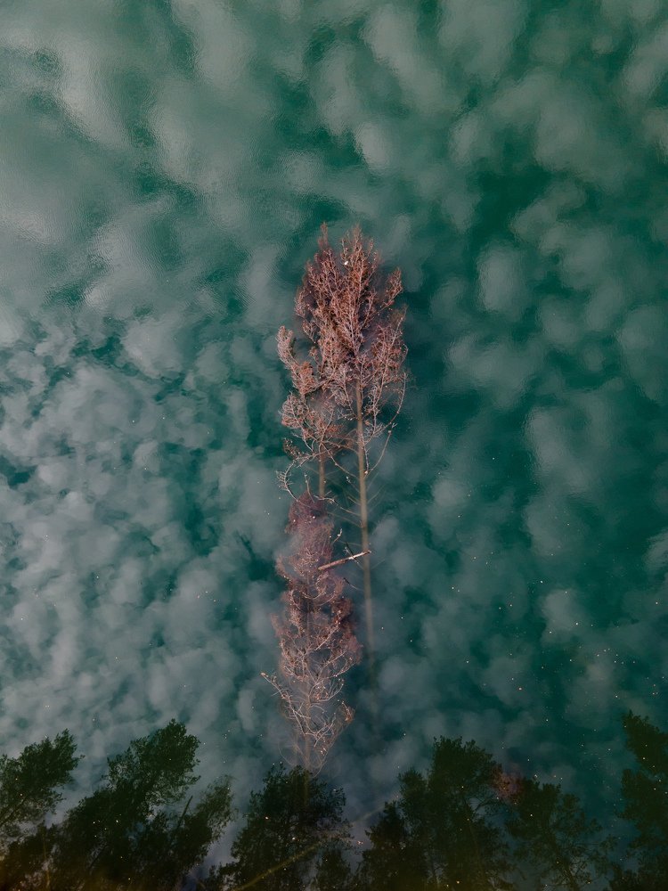 Photograph by Анастасия Юсова