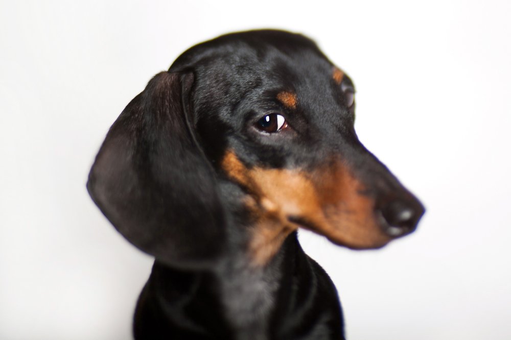 Photograph by Tatiana Malysheva