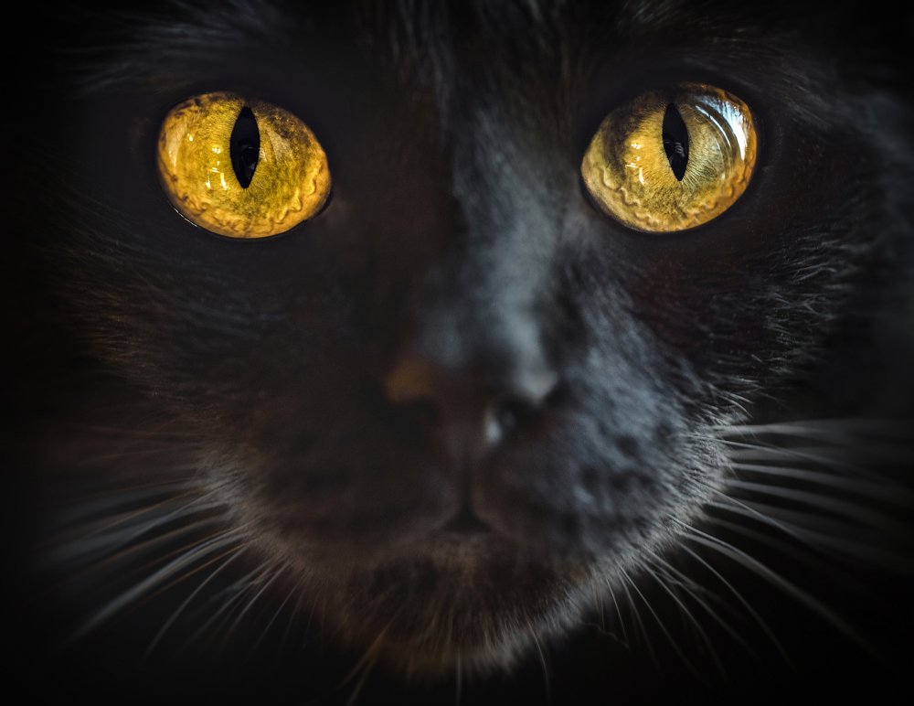 Photograph by Tatiana Malysheva