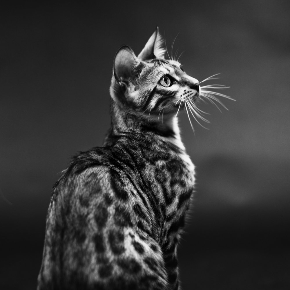 Photograph by Tatiana Malysheva