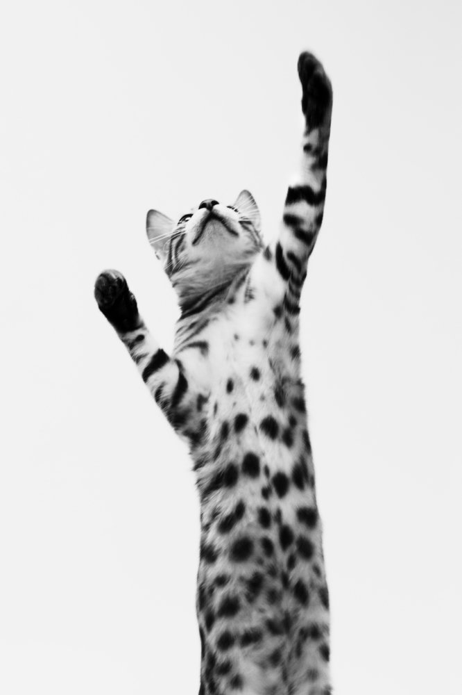 Photograph by Tatiana Malysheva